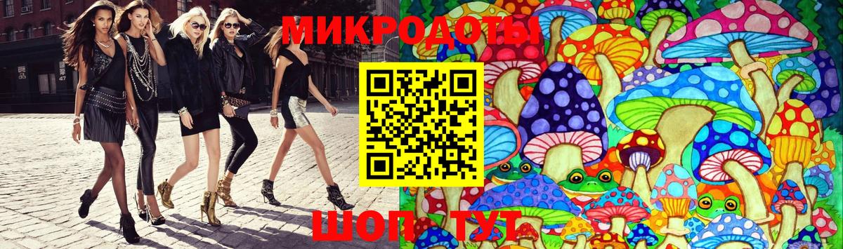 Галлюциногенные грибы Psilocybe Гай