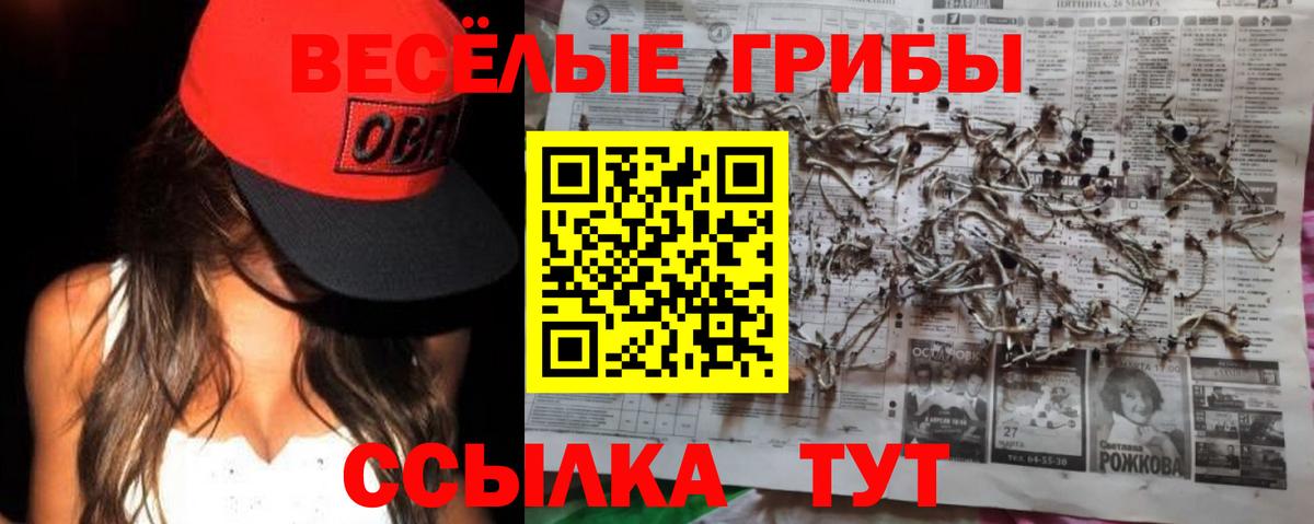 Галлюциногенные грибы GOLDEN TEACHER  Вход с VPN  где продают   Гай  Галлюциногенные грибы Cubensis 